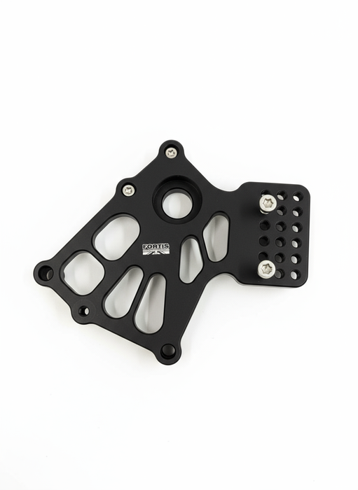 Left Frame Plate - BMW F900R
